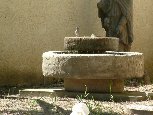 fountain with bubbler photo